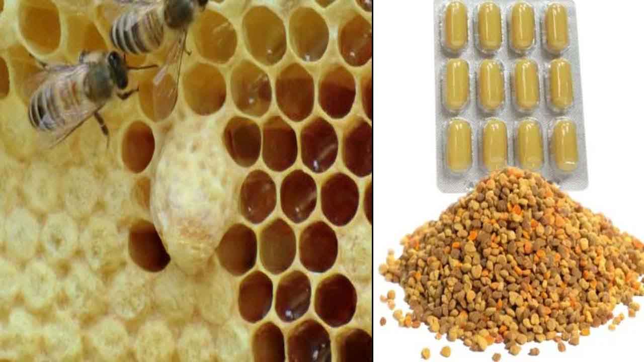 غذاء ملكات النحل للنساء للرجال